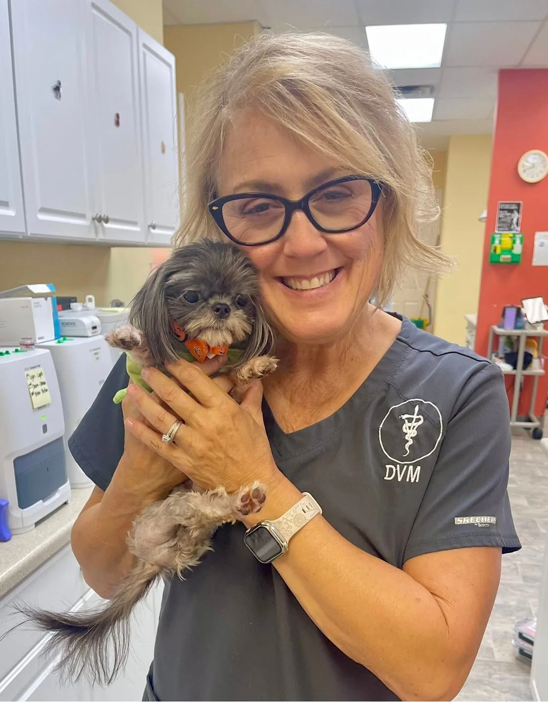 Animal Hospital of Orange Grove Dr. Nikki Palermo Animal Hospital of Orange Grove Dr. Nikki Palermo