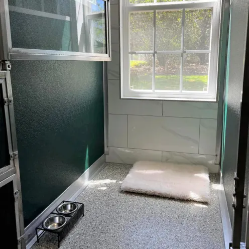Green small dog kennel room with bed, window, and bowls 