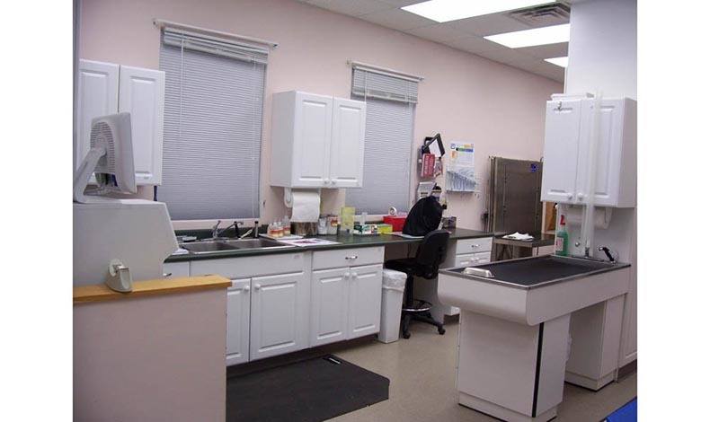 Marbletown Animal Hospital Treatment Room