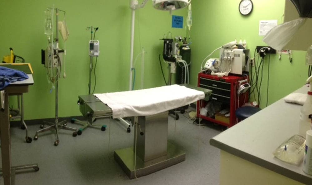 Northwest Rankin Animal Clinic Operation Room