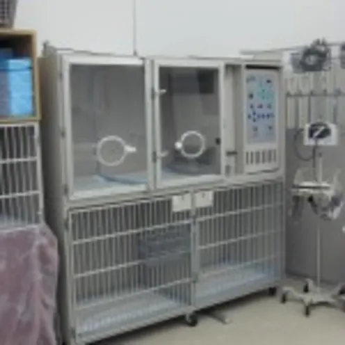 veterinary equipment at Fresno Veterinary Specialty & Emergency Center