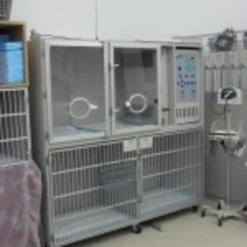 veterinary equipment at Fresno Veterinary Specialty & Emergency Center veterinary equipment at Fresno Veterinary Specialty & Emergency Center