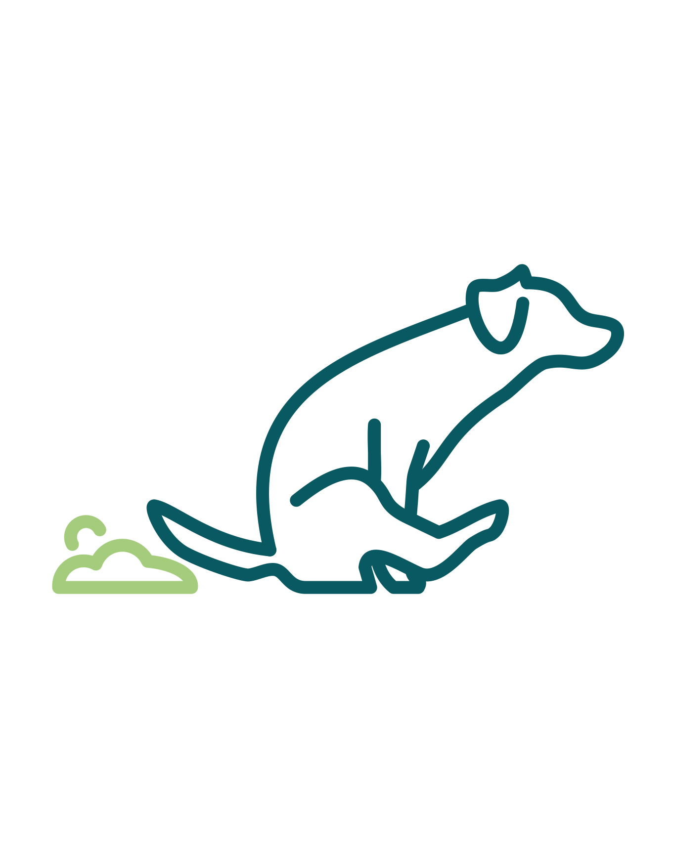 dog scooting icon