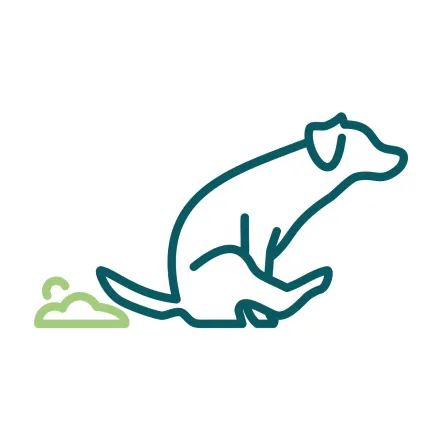 dog scooting icon