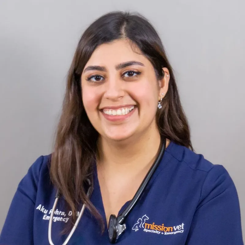 Dr. Rohra Dr. Rohra