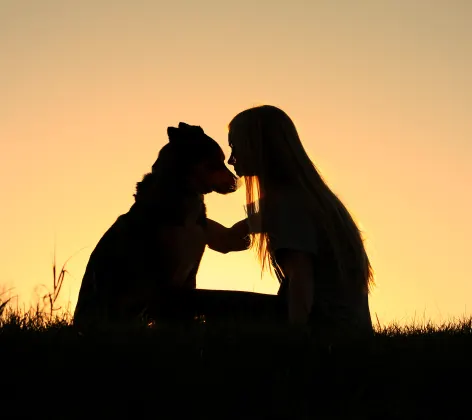 Dog and Girl Sitting on the Grass Together Sunset Sky