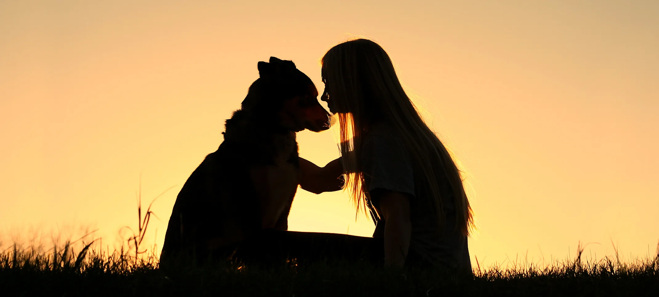 Dog and Girl Sitting on the Grass Together Sunset Sky