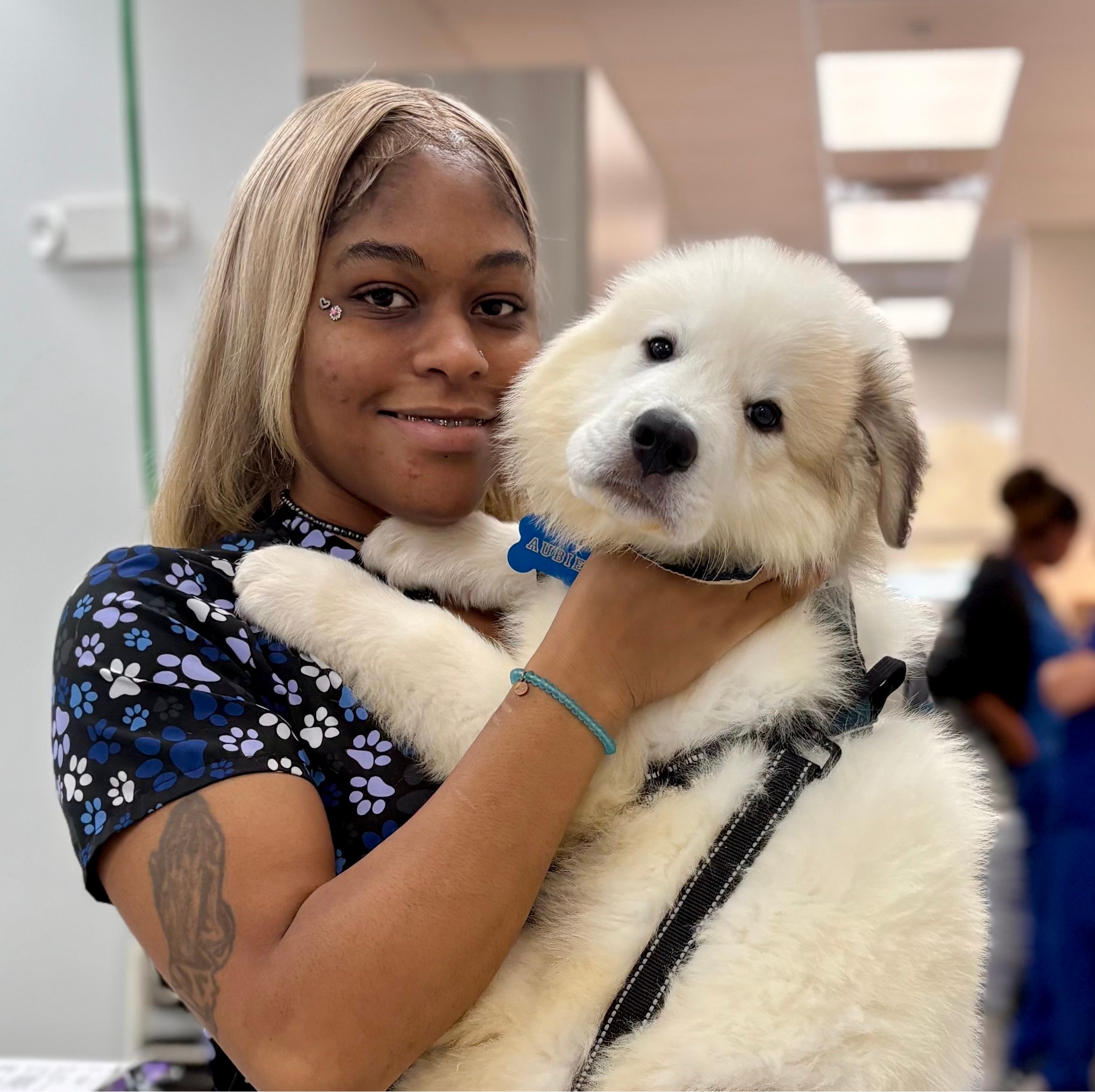 Elfiji "Fiji" Ogbona