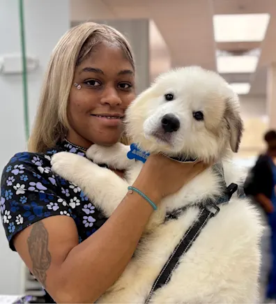 Elfiji "Fiji" Ogbona Elfiji "Fiji" Ogbona