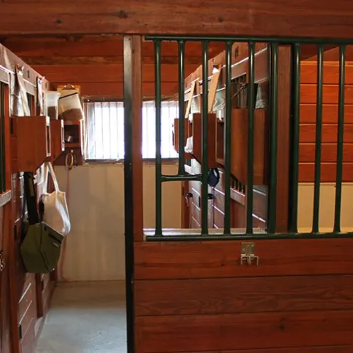 The Pet Ranch Boarding Rooms
