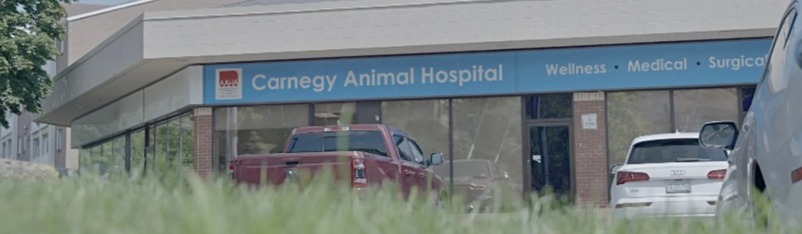 Carnegy Animal Hospital's building Carnegy Animal Hospital's building