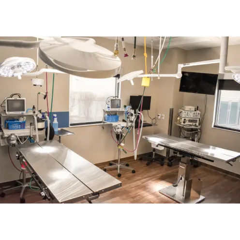 Surgery Room in All City Pet Care Veterinary Emergency Hospital