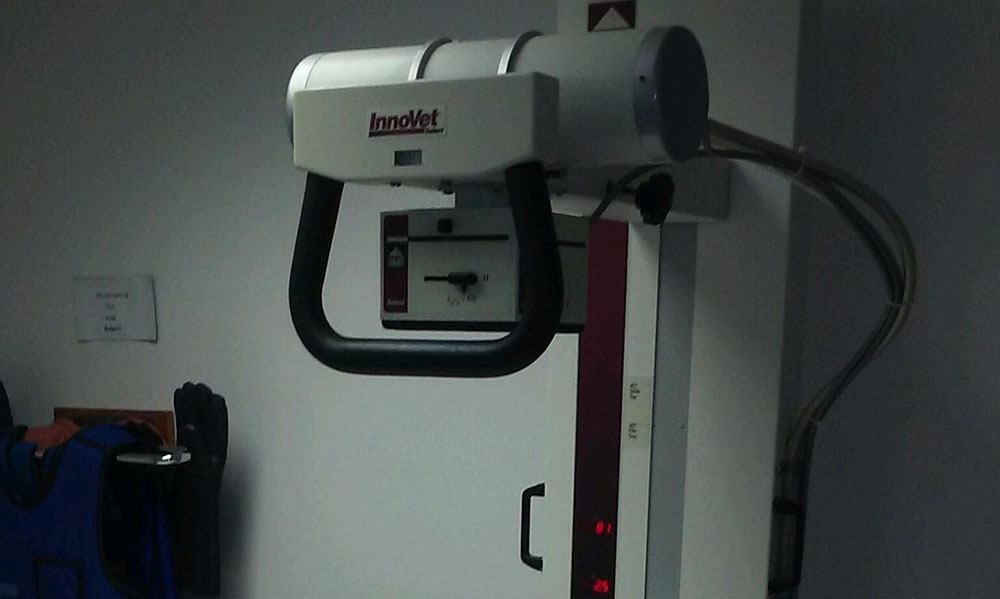 Veterinary Radiology equipment at Animal Care Clinic West & Metro Cat Hospital 