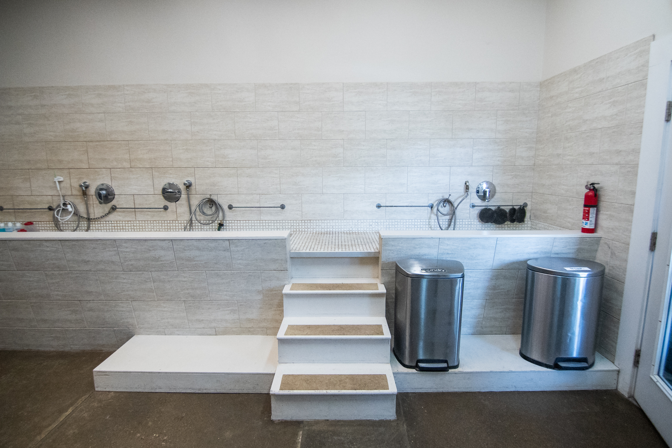 Breed Above Grooming Area