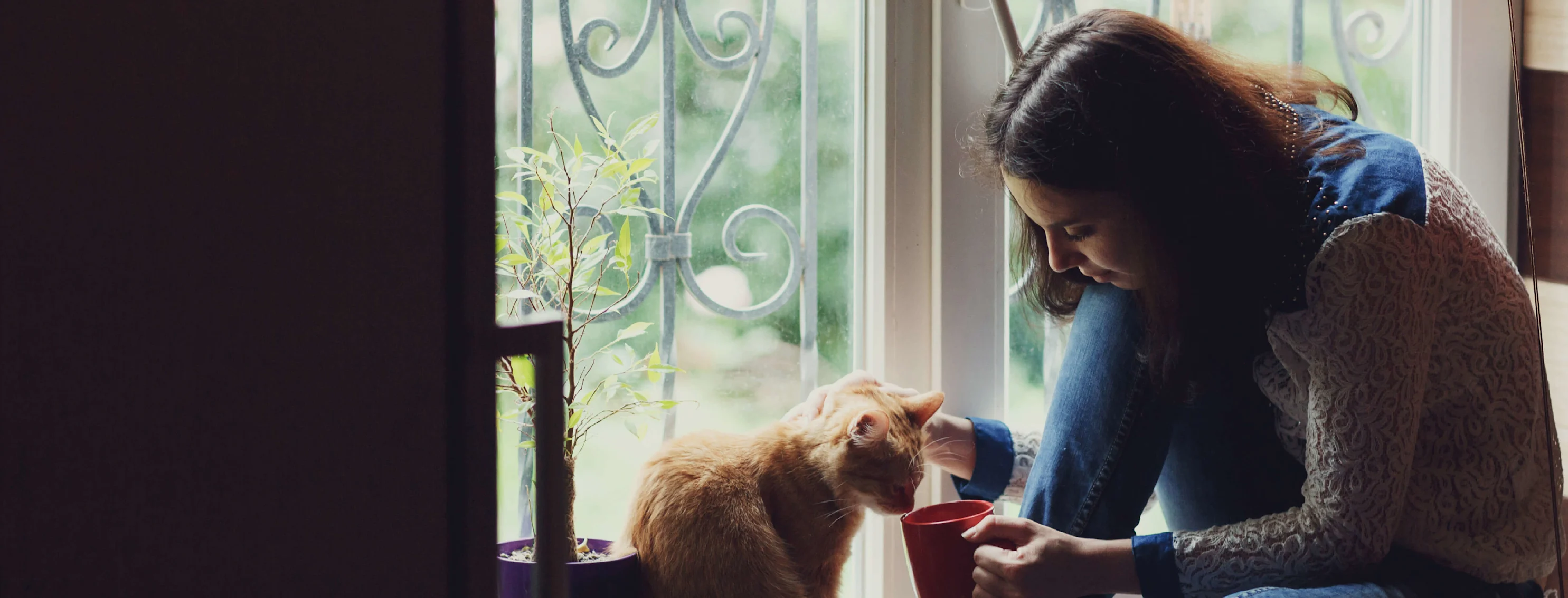 Cat with woman at the window Cat with woman at the window