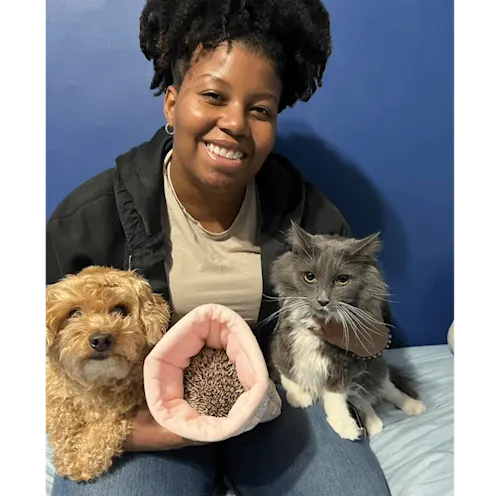 Emma, Popcorn, Charlie, and Squeak Emma, Popcorn, Charlie, and Squeak