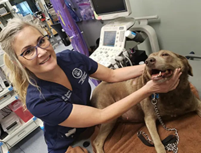 Dr. Stegeman with a dog Dr. Stegeman with a dog
