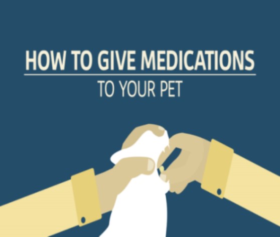 Giving Medications at Home 