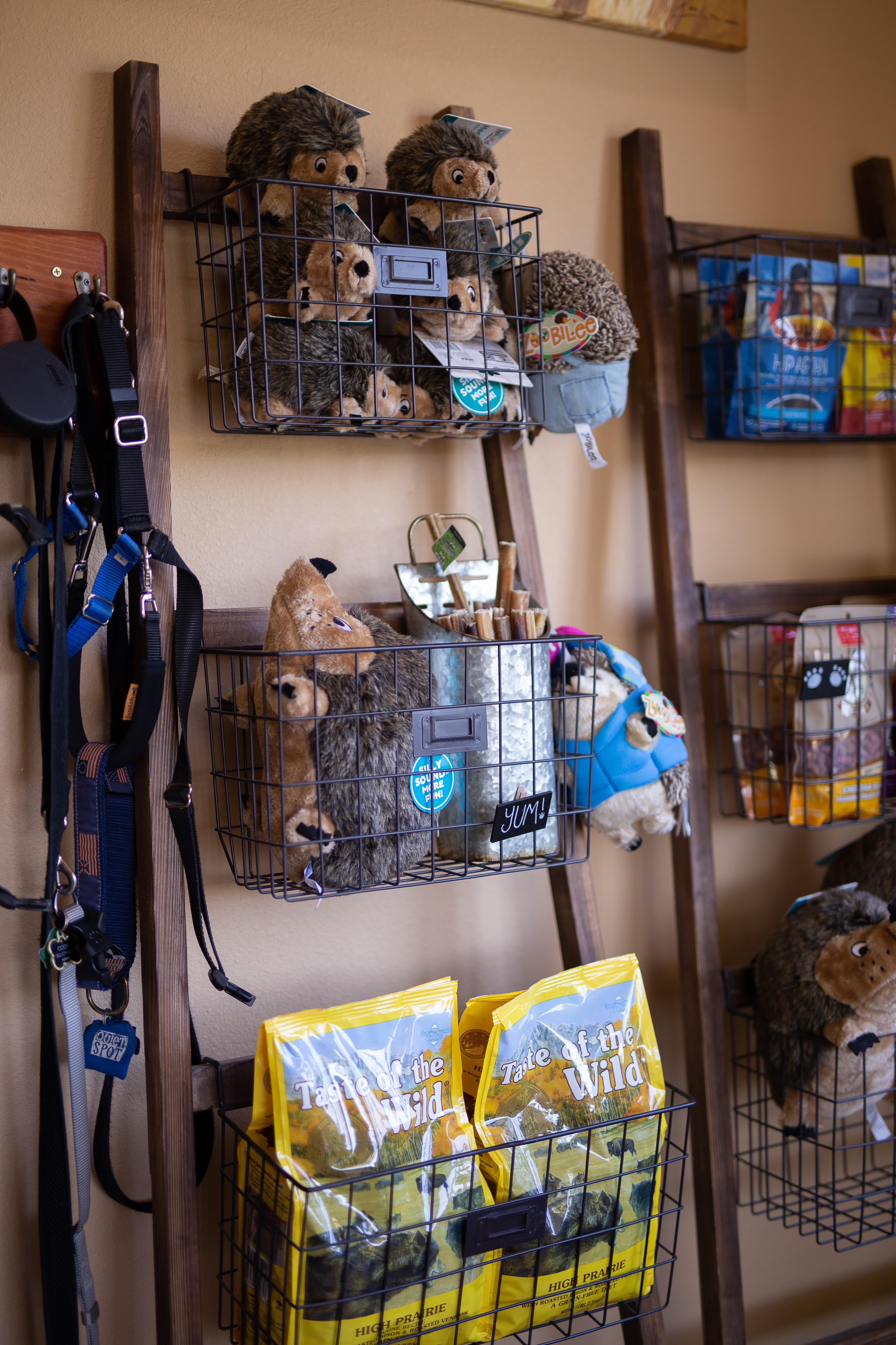 Interior of Bowhaus in Boulder, CO