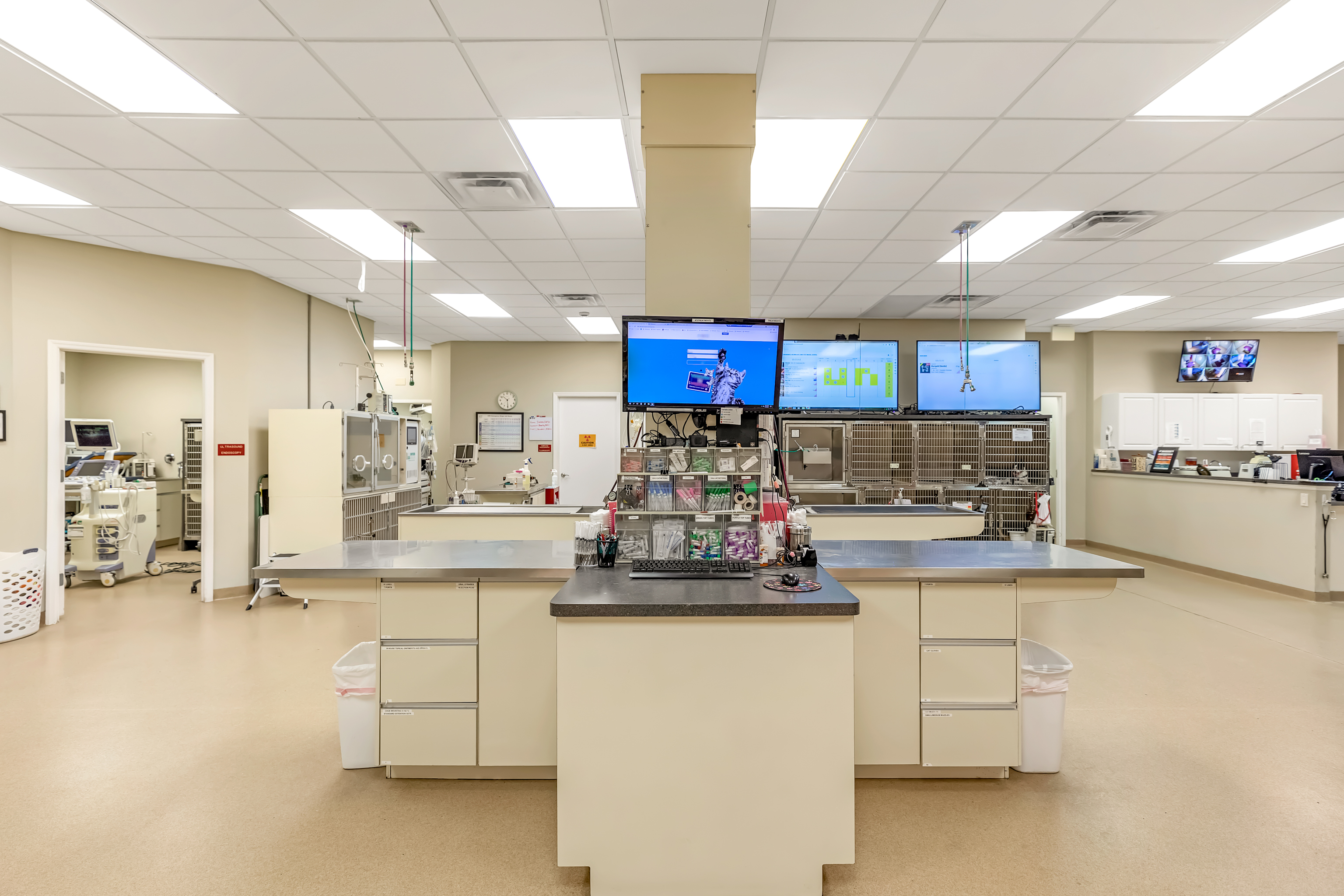 ICU Treatment View 4