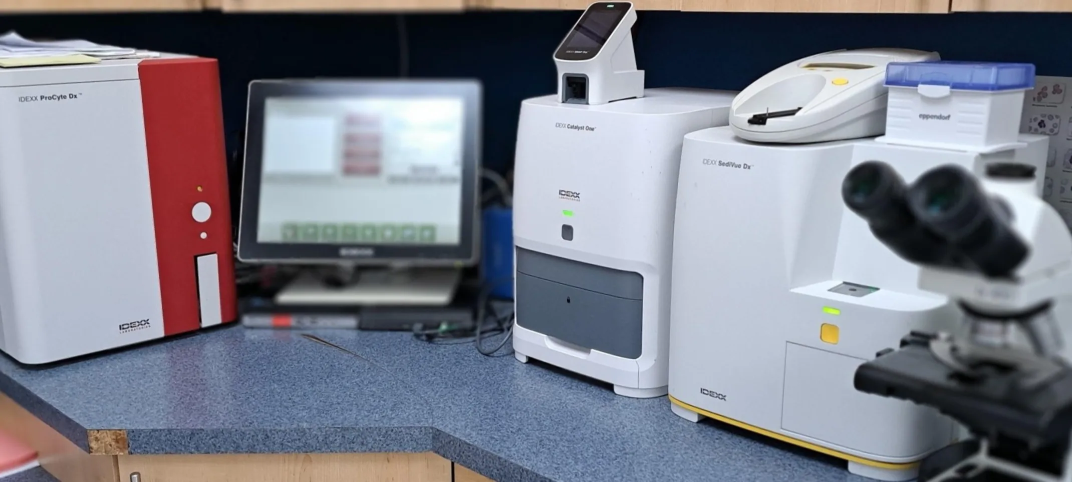 Douglas Animal Hospital's lab services image Douglas Animal Hospital's lab services image