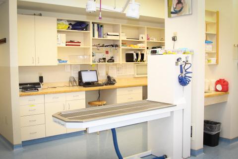 Examination table in backroom