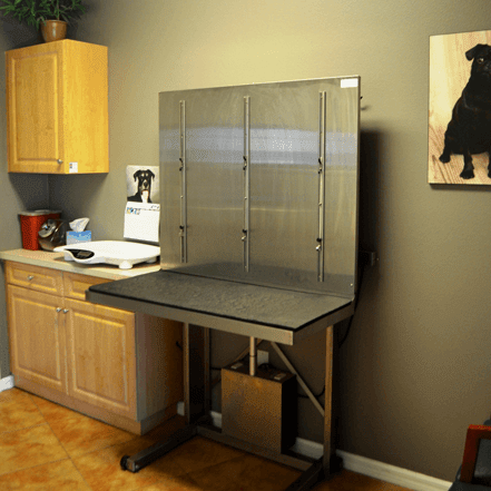 Critical Care/Surgical Center - Exam Table