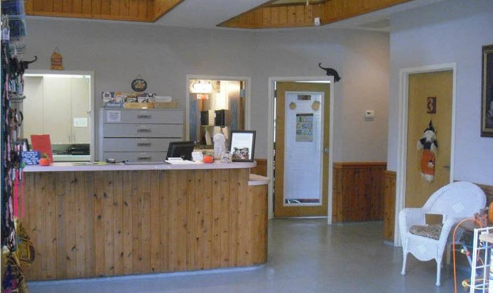 Pawleys Veterinary Hospital Reception desk and waiting area