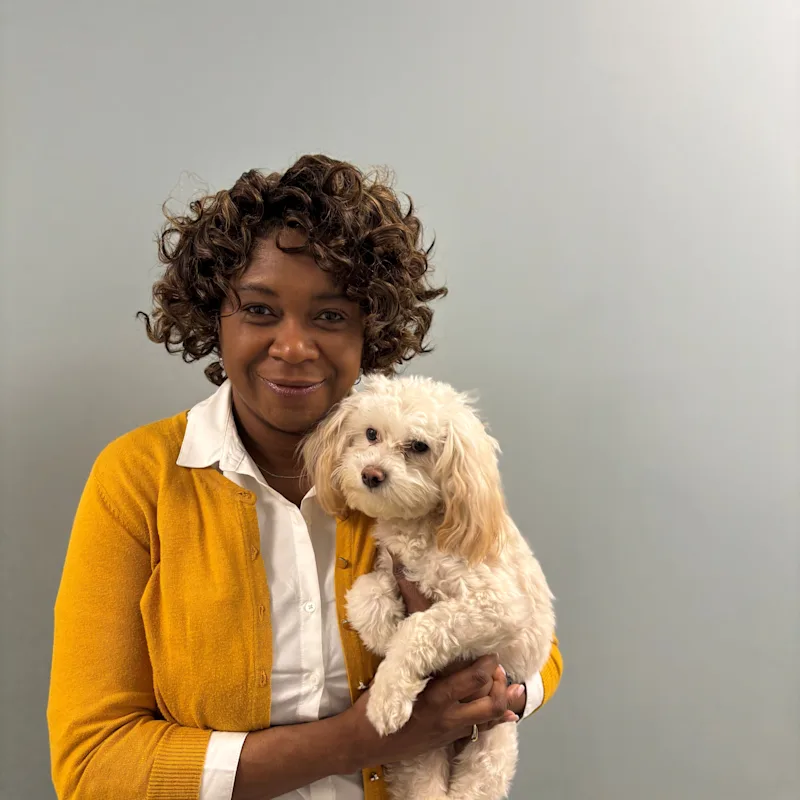New Staff Member New Staff Member