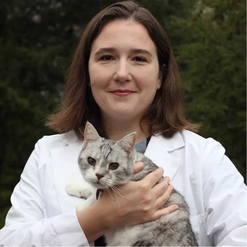 Dr. Dayle McClintock Dr. Dayle McClintock