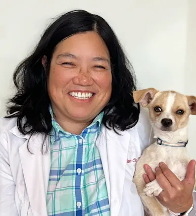 Janice, Associate Dvm at Clocktower Animal Hospital Janice, Associate Dvm at Clocktower Animal Hospital
