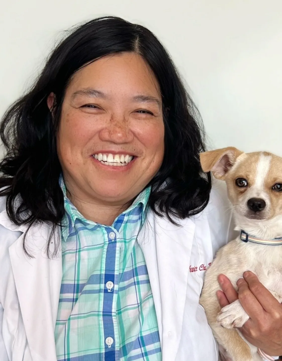 Janice, Associate Dvm at Clocktower Animal Hospital Janice, Associate Dvm at Clocktower Animal Hospital
