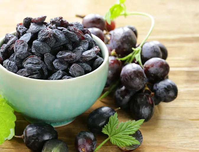 Grapes & Raisins Toxicity Grapes & Raisins Toxicity