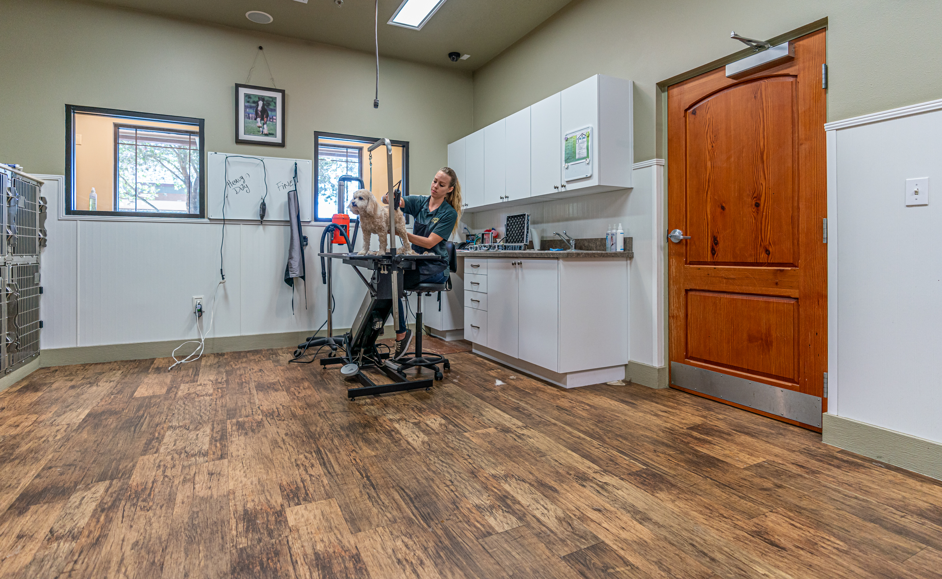 The Lodge at New Tampa Grooming Room