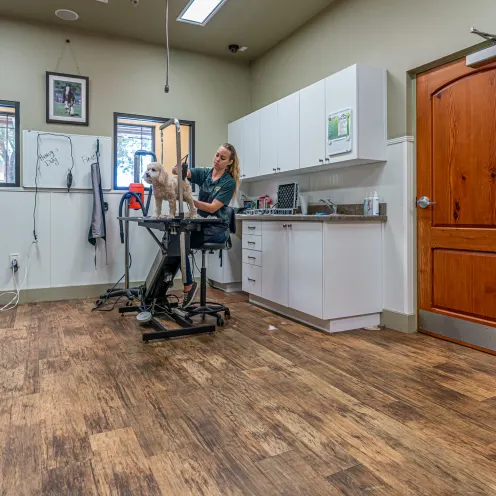 The Lodge at New Tampa Grooming Room
