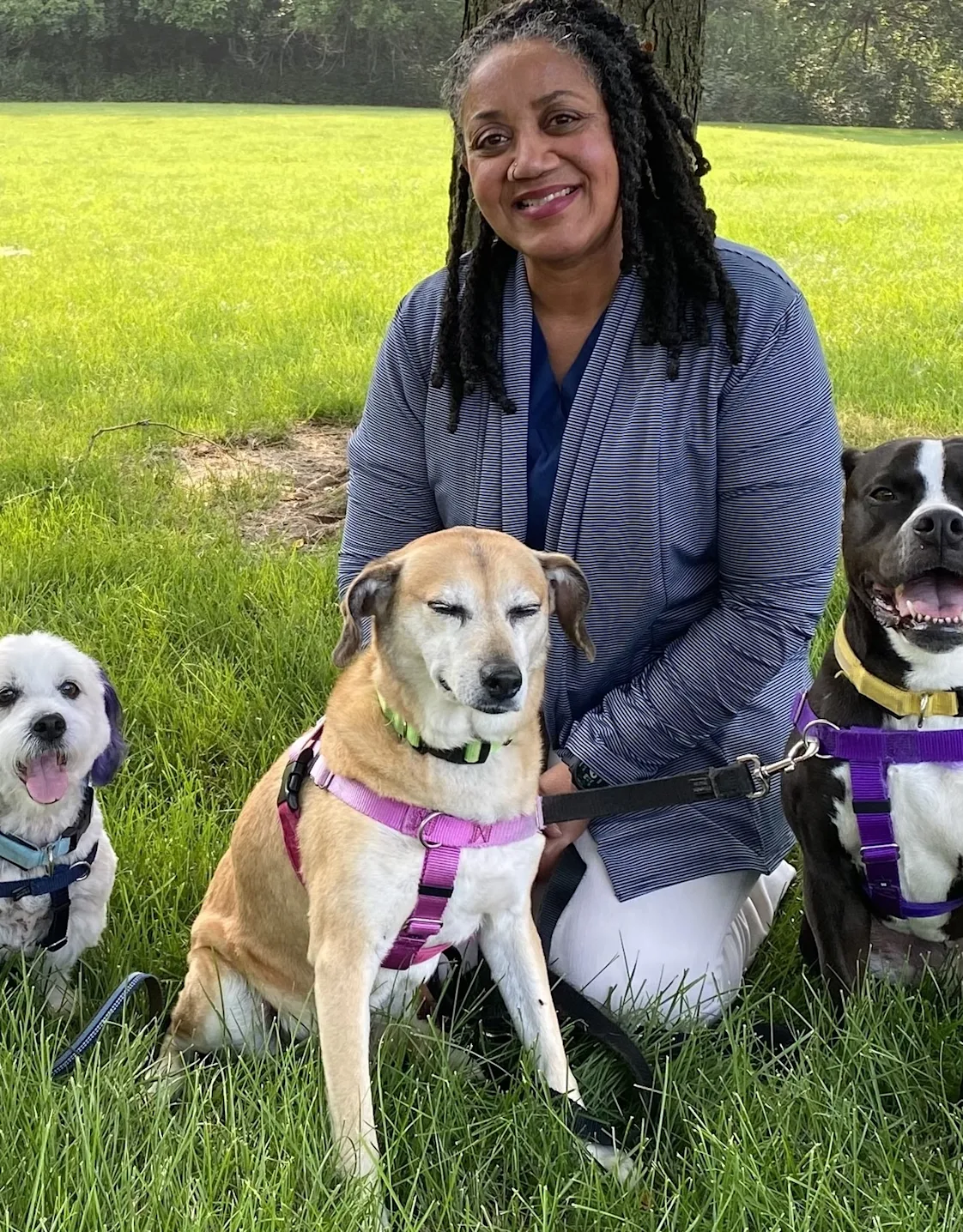 A placeholder icon of a dog A placeholder icon of a dog