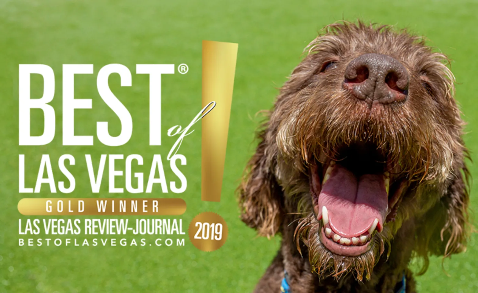 Gold Award Gold Award