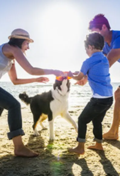 family playing with dog on the beach family playing with dog on the beach