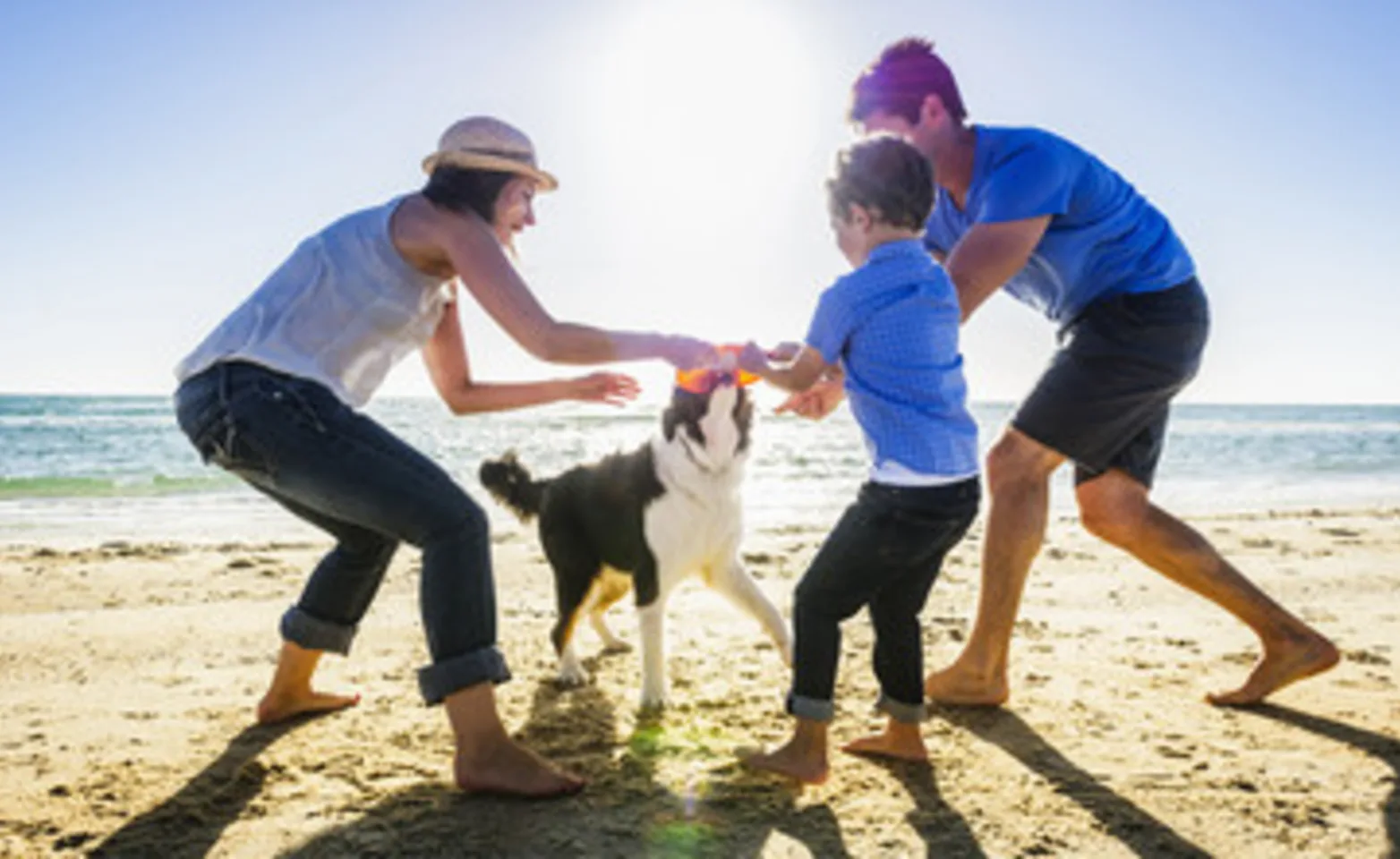 family playing with dog on the beach