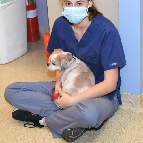 Paige, one of our technicians, assisting by holding a dog.