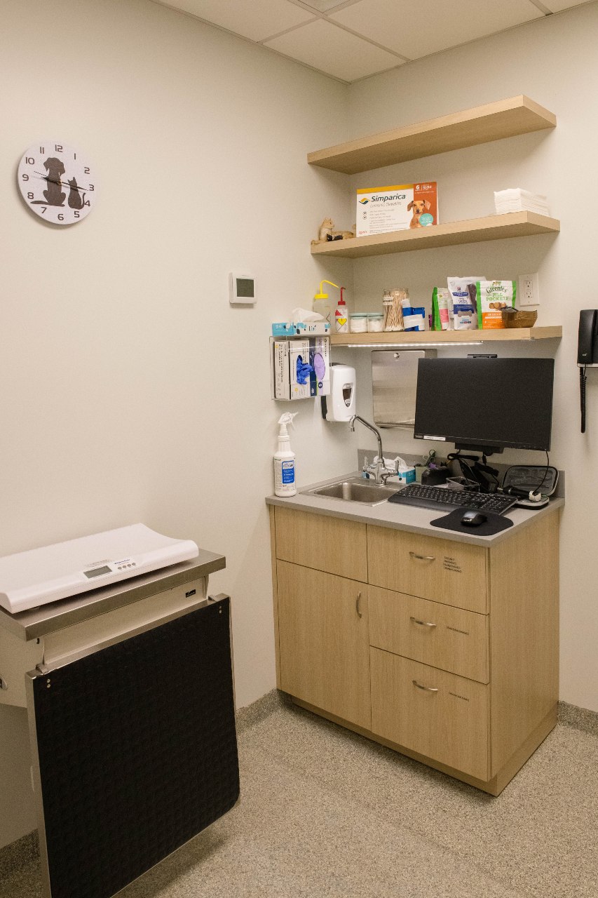 Exam room in West Village Veterinary Hospital.