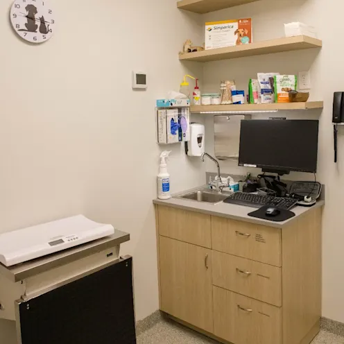 Exam room in West Village Veterinary Hospital. Exam room in West Village Veterinary Hospital.
