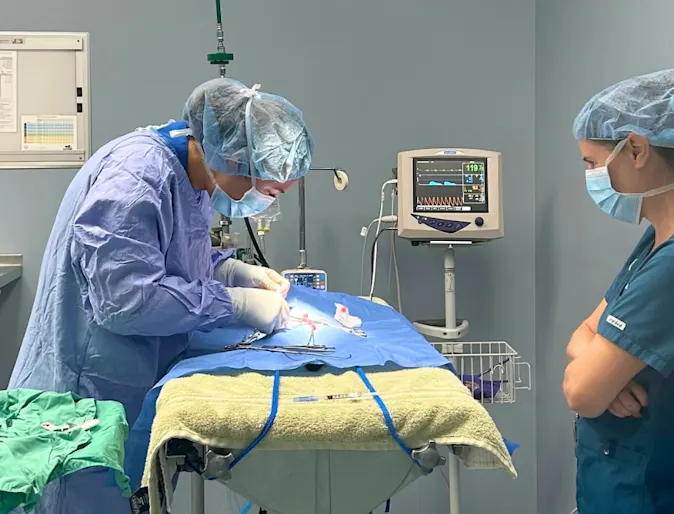 Advice for a new DVM grad starting their career Advice for a new DVM grad starting their career