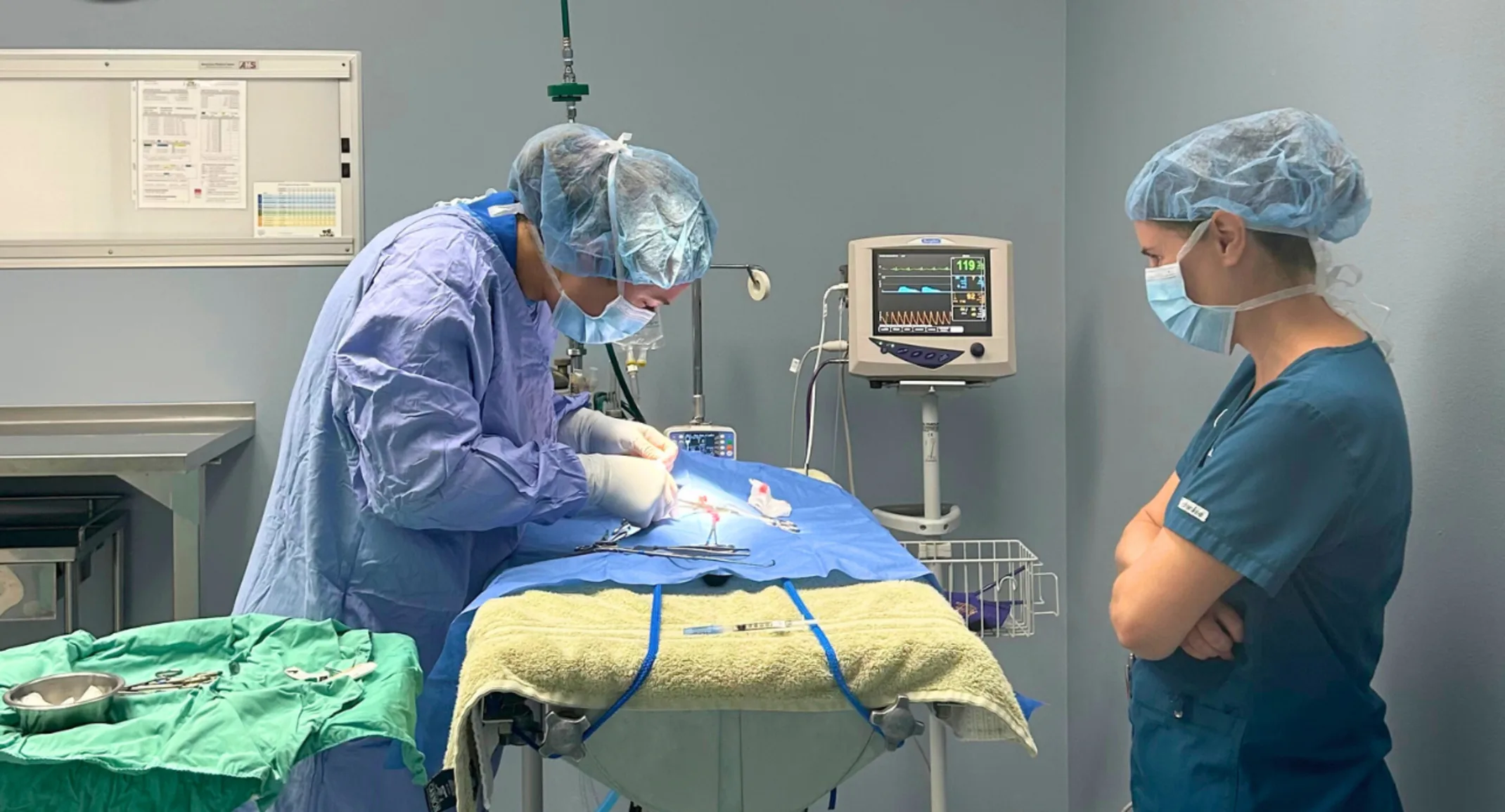 Advice for a new DVM grad starting their career Advice for a new DVM grad starting their career