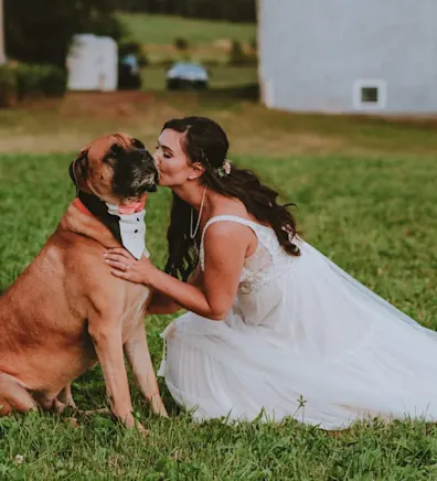 Pascale Mercer Pascale Mercer