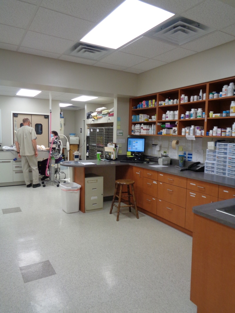 Lakeview Animal Hospital Pharmacy