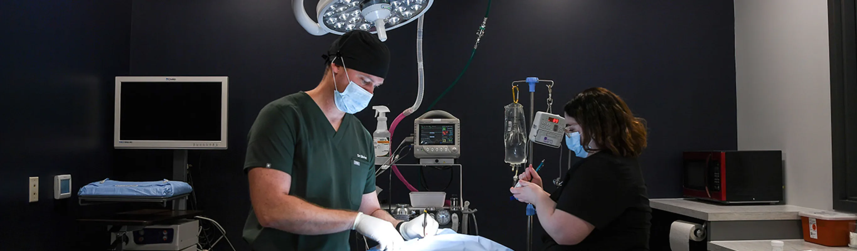 A veterinarian operating on an animal A veterinarian operating on an animal