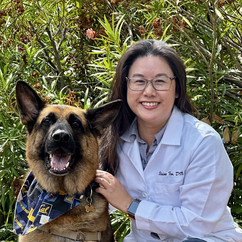 Dr. Elaine Fan Dr. Elaine Fan