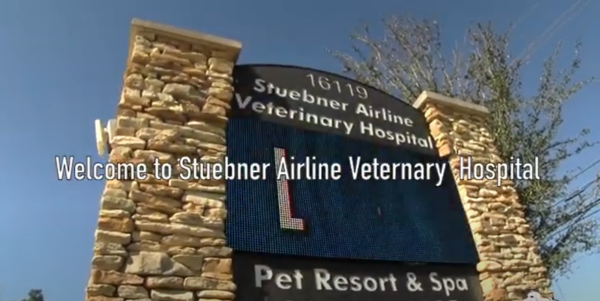 Stuebner airline pet hot sale resort and spa