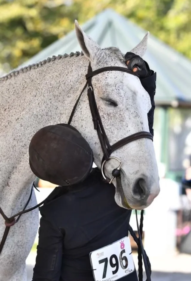 White horse competing White horse competing
